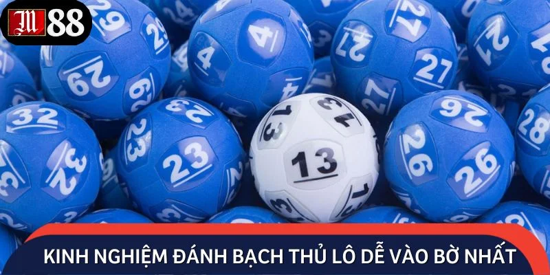 Kinh nghiệm đánh bạch thủ lô dễ vào bờ nhất