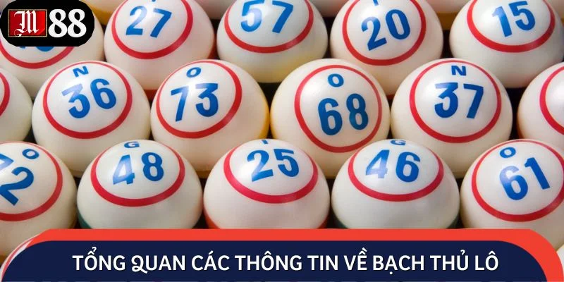 Tổng quan các thông tin về bạch thủ lô