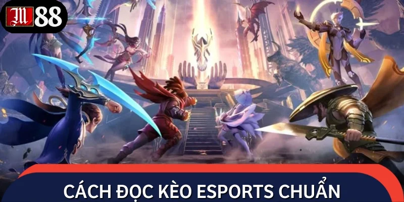 Bỏ túi những mẹo chốt kèo esports đỉnh cao không phải ai cũng biết