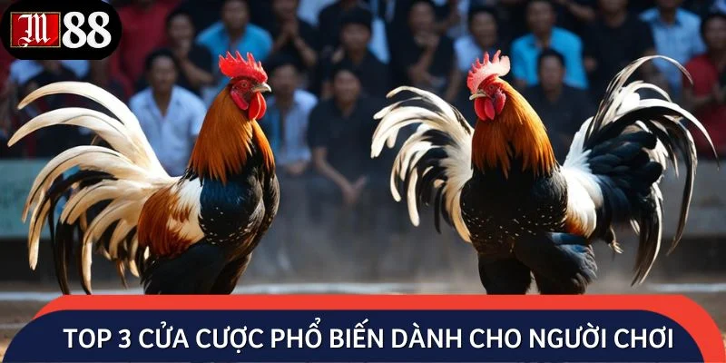 Top 3 cửa cược phổ biến dành cho người chơi