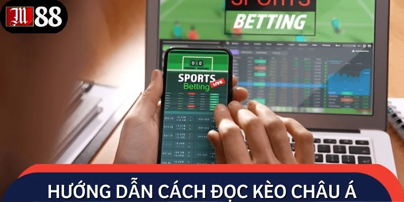 Hướng dẫn cách đọc tỷ lệ chi tiết cho người mới