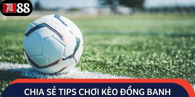 Bật mí kinh nghiệm chốt kèo đồng banh bất bại từ dân chuyên