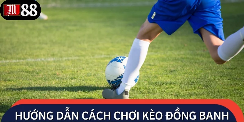 Chia sẻ cách chơi kèo 0 từ cơ bản đến chuyên sâu cho người mới