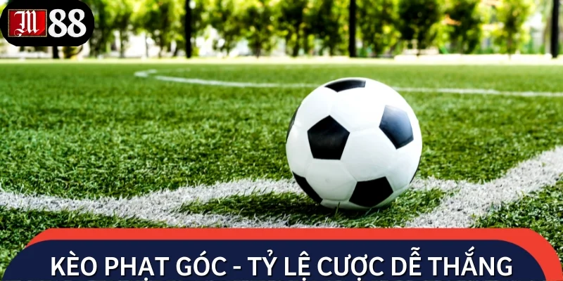 Kèo phạt góc - Tỷ lệ cược dễ thắng trong bóng đá