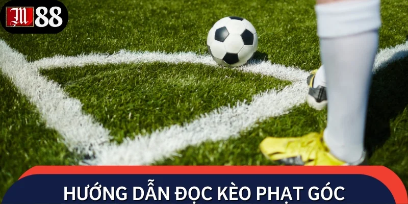 Hướng dẫn đọc kèo phạt góc chuyên sâu cho người mới