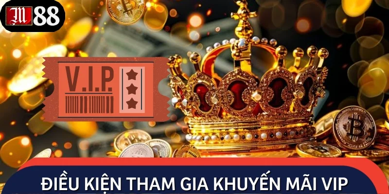 Tuân thủ các điều kiện khi tham gia khuyến mãi đặc biệt cho VIP